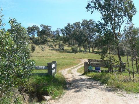 Gaddleen Grove Cottages - 1 Gold Coast 3