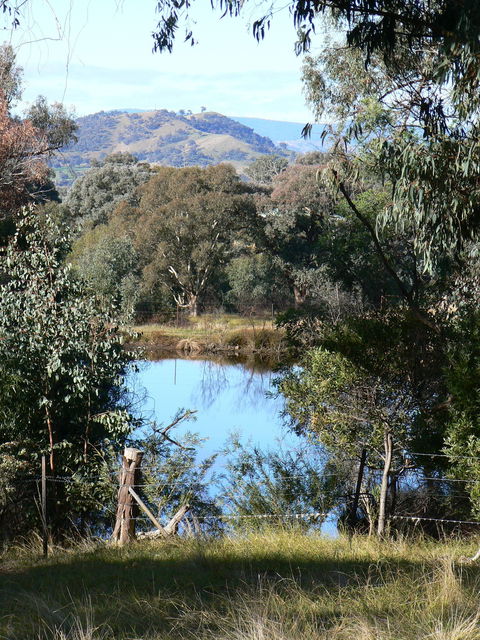 Gaddleen Grove Cottages - 1 Gold Coast 6