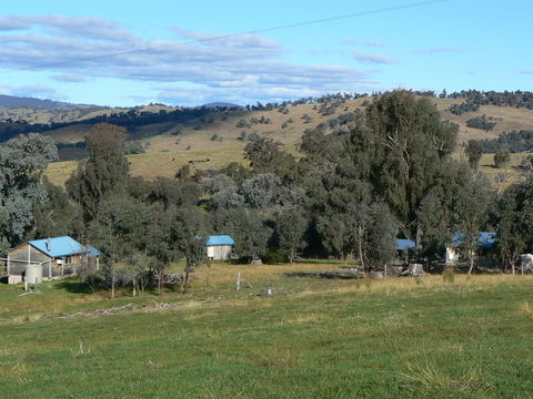 Gaddleen Grove Cottages - 1 Gold Coast 7