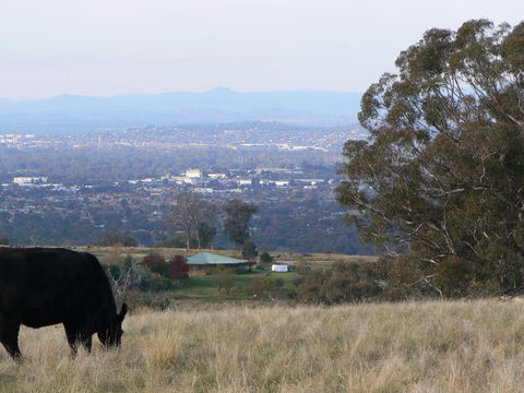 Gaddleen Grove Cottages - 1 Gold Coast 8