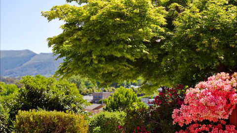 Greatview Holiday Spa Retreat For Couples - Accommodation Gold Coast 4