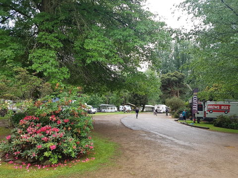 Harrietville Cabins And Caravan Park - Accommodation Gold Coast 8