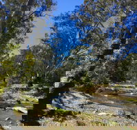 Highfield Farm and Woodland Bush Campsites - Accommodation Gold Coast