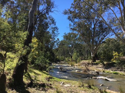 Highfield Farm And Woodland Bush Campsites - Accommodation Gold Coast 0