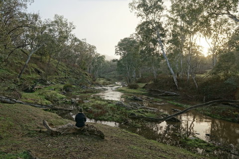 Highfield Farm And Woodland Bush Campsites - Accommodation Gold Coast 2