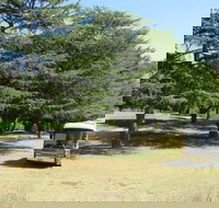 Joe O'Connor Park - Accommodation Gold Coast