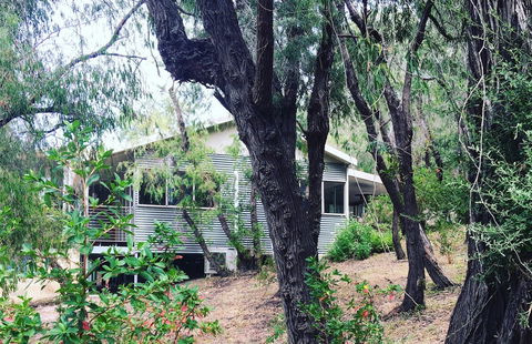 Kangaroo Hollow Preston Beach - Gold Coast 4U 8