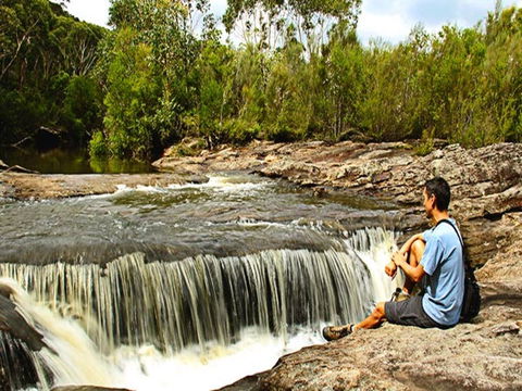 Kingfisher Pool Campground - Accommodation Gold Coast 0
