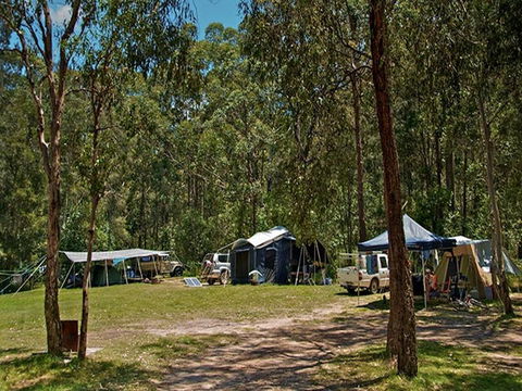 Korsmans Landing Campground And Picnic Area - Gold Coast 4U 2