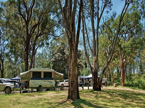 Korsmans Landing Campground And Picnic Area - Gold Coast 4U 4