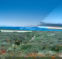 Lucky Bay Campground at Cape Le Grand National Park - Accommodation Gold Coast