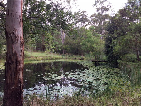 Maleny Country Cottages - Accommodation Gold Coast 3