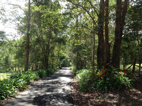 Maleny Country Cottages - Accommodation Gold Coast 8