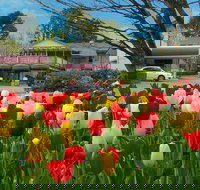 Nesuto Leura Gardens Hotel - Accommodation Gold Coast