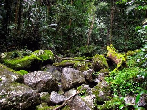 Nightfall  Camp - Accommodation Gold Coast 4