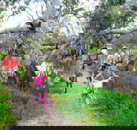 NRMA Echuca Holiday Park - Accommodation Gold Coast