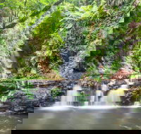 O'Reilly's Rainforest Retreat - Accommodation Gold Coast