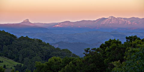 O'Reilly's Rainforest Retreat - Accommodation Gold Coast 1