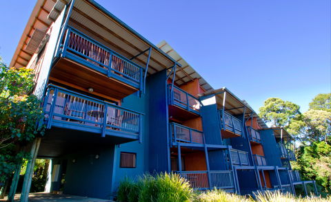 O'Reilly's Rainforest Retreat - Accommodation Gold Coast 7