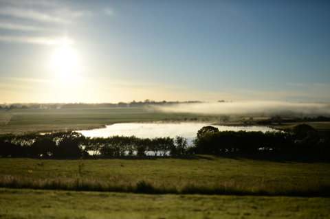 Quamby Estate - Accommodation Gold Coast 7