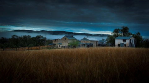 Roseneath  Farm Stay - Accommodation Gold Coast 3