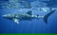 Sal Salis Ningaloo Reef - thumb 11