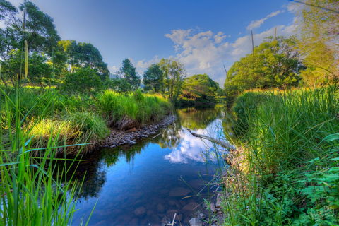 Terania Green Boutique Eco Cottages - Accommodation Gold Coast 3