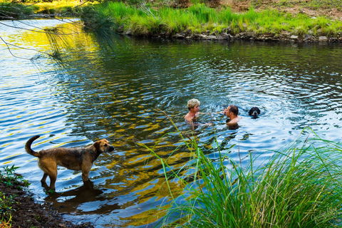 Terania Green Boutique Eco Cottages - Accommodation Gold Coast 4