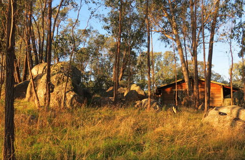 The Woolshed Cabins - 1 Gold Coast 2