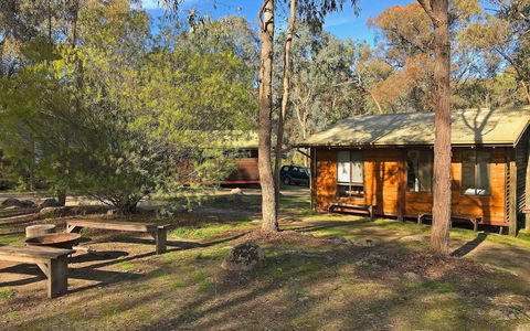 The Woolshed Cabins - 1 Gold Coast 5