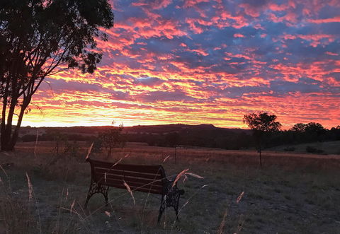 The Woolshed Cabins - 1 Gold Coast 7