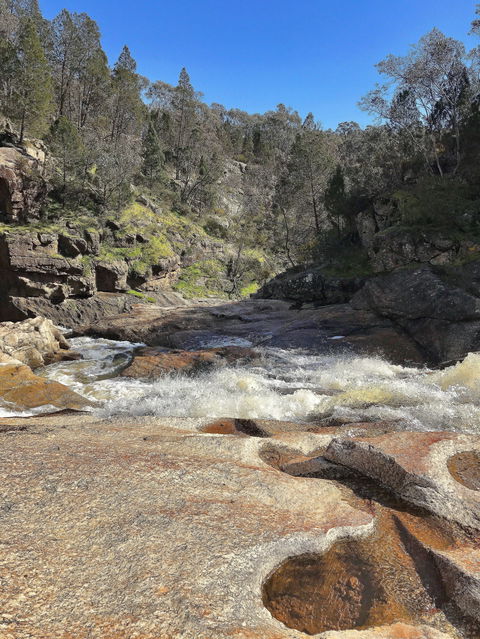 The Woolshed Cabins - 1 Gold Coast 8
