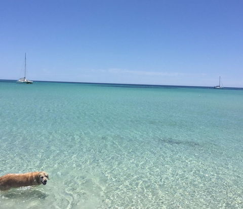 WA HomeStay - Accommodation Gold Coast 3