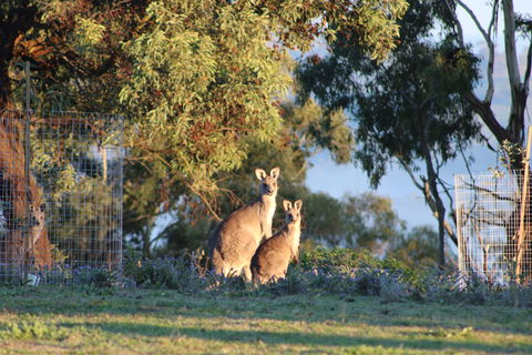 Abercrombie Ridge - Accommodation Gold Coast 7