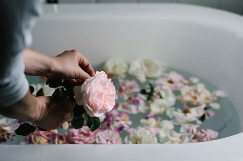Acre Of Roses - Accommodation Gold Coast 5