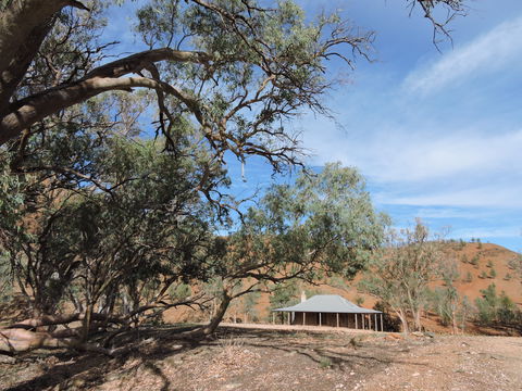 Alpana Station - Accommodation Gold Coast 6