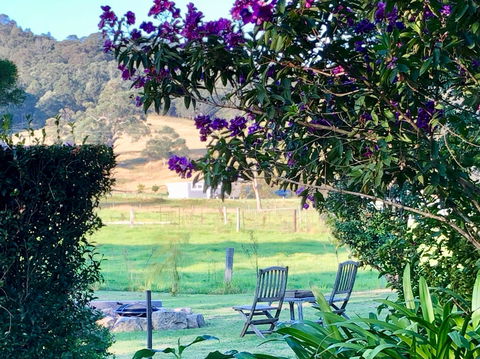Arcadia Cottages At Cambewarra - Accommodation Gold Coast 5