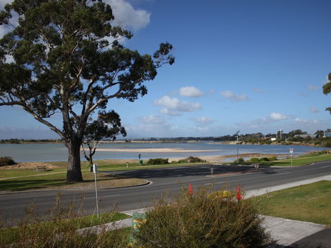 Bridport Seaside Lodge - Accommodation Gold Coast 5