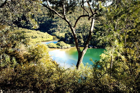 Calabash Bay Lodge - Accommodation Gold Coast 5
