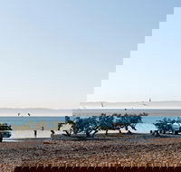 Camping at Point Lowly  Fitzgerald Bay - Accommodation Gold Coast