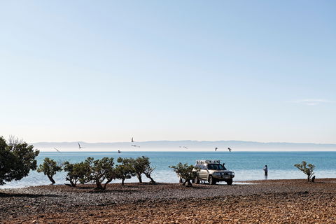 Camping At Point Lowly & Fitzgerald Bay - Accommodation Gold Coast 0