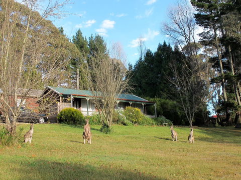 Cedar Lodge Cabins - Gold Coast 4U 0