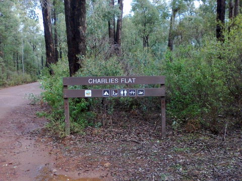 Charlies Flat Campground At Lane Poole Reserve - Accommodation Gold Coast 0