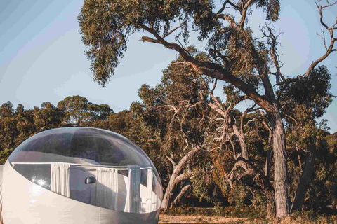 Coonawarra Bubble Tents - Accommodation Gold Coast 0