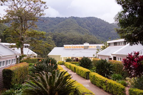 Eden Health Retreat - Accommodation Gold Coast 0