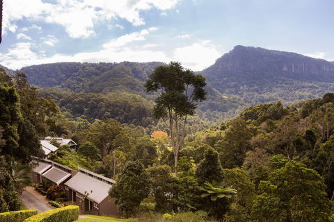 Eden Health Retreat - Accommodation Gold Coast 2