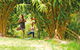 Eternity Springs Art Farm Bed And Breakfast - thumb 2