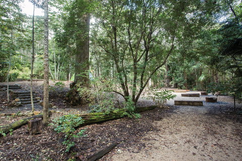 Eungella National Park Camping - Accommodation Gold Coast 0