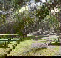 Illaroo group camping area - Gold Coast 4U
