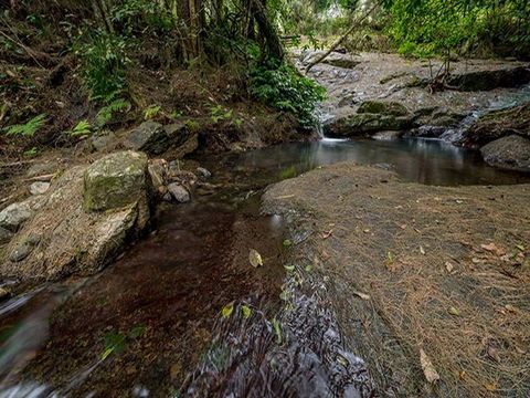 Jacky Barkers Campground - Accommodation Gold Coast 1